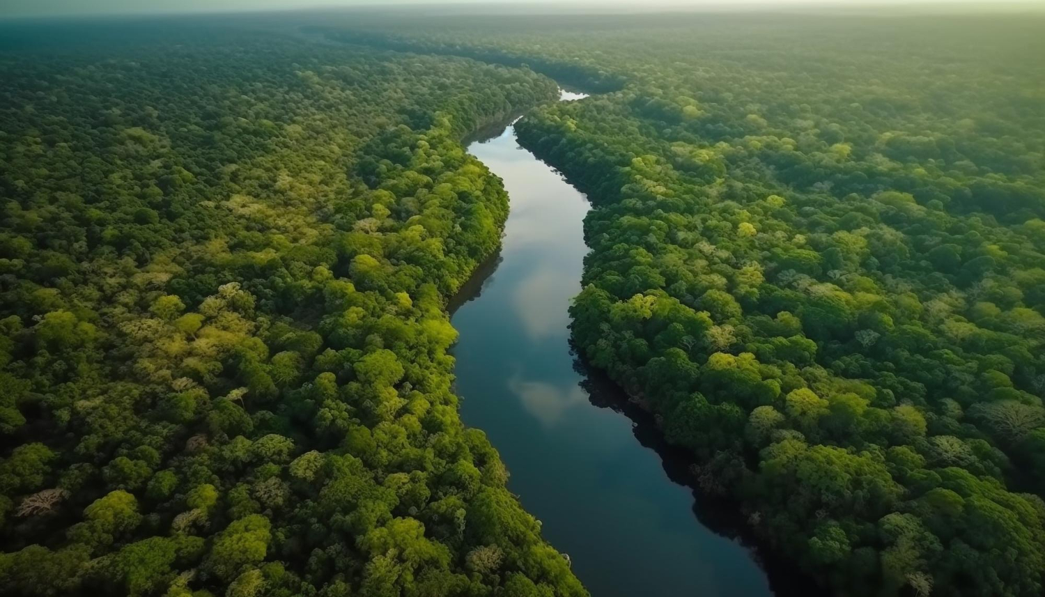 Texto cria Fundo de Sustentabilidade para o Amazonas, mas exclui demais territórios com área de floresta