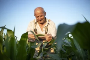 A indenização é rápida e não exige perícia no campo